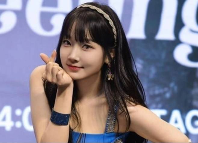티브이데일리 포토