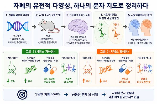 연구진 제공