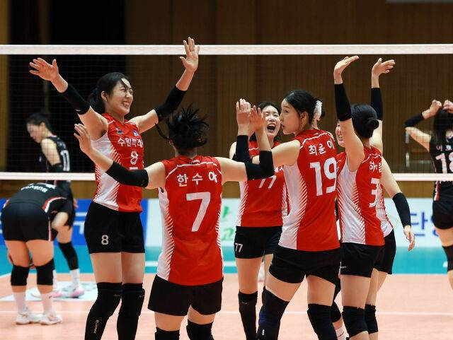 수원시청 선수들이 20일 단양에서 열린 포항시체육회와 '2026 한국실업배구연맹회장배 종합선수권대회' 결승전 도중 공격 득점을 올린 뒤 환호하고 있다./발리볼코리아닷컴·한국실업배구연맹 제공