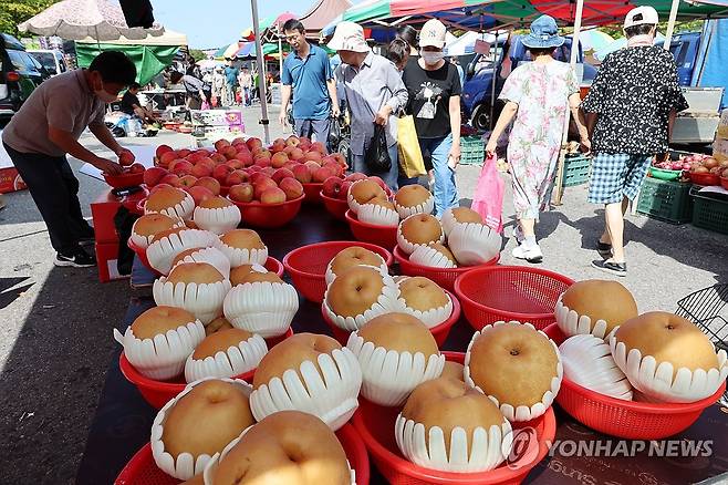 전통시장에서 추석 차례상 준비 (전남광주=연합뉴스) 조남수 기자 = 추석 명절을 일주일 앞둔 18일 전남광주통합특별시 서구 상무금요시장에서 시민들이 장을 보고 있다. 2026.9.18 iso64@yna.co.kr
