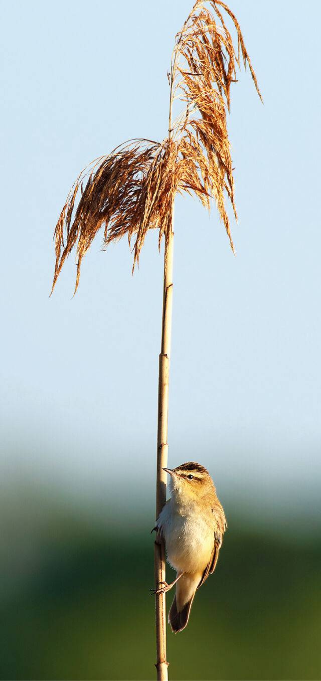 게티이미지뱅크