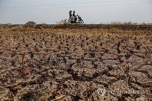 바짝 마른 인도네시아 땅. [연합뉴스]