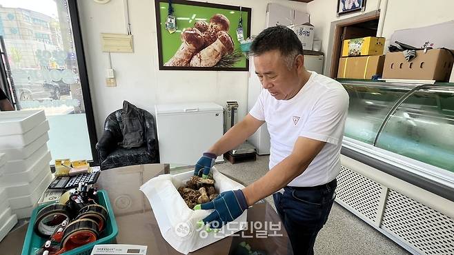 ▲ 경기침체로 소비자들의 지갑이 닫히면서 일반 소비용 송이 판매량은 예년의 4~5분의 1 수준까지 떨어졌다는 게 상인들의 설명이다.