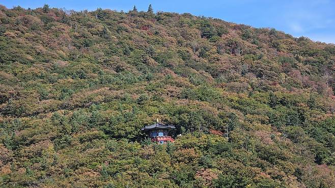 27일 오대산국립공원 고지대 탐방로에 단풍이 물들기 시작했다. 오대산국립공원사무소