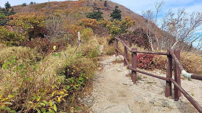 28일 설악산국립공원 중청대피소 인근에 단풍이 물들었다. 설악산국립공원사무소