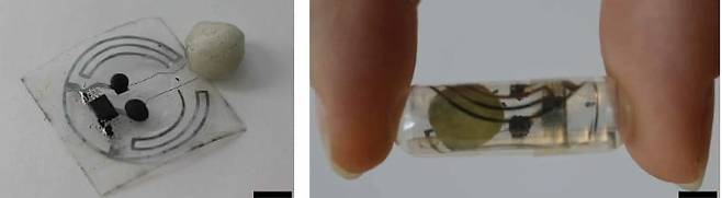 생체흡수성 배터리와 RFID 태그를 결합한 장치(왼쪽). 이를 젤라틴 캡슐에 넣은 모습(오른쪽). 둥근 황갈색 원판이 배터리다./ 미국 매사추세츠공대