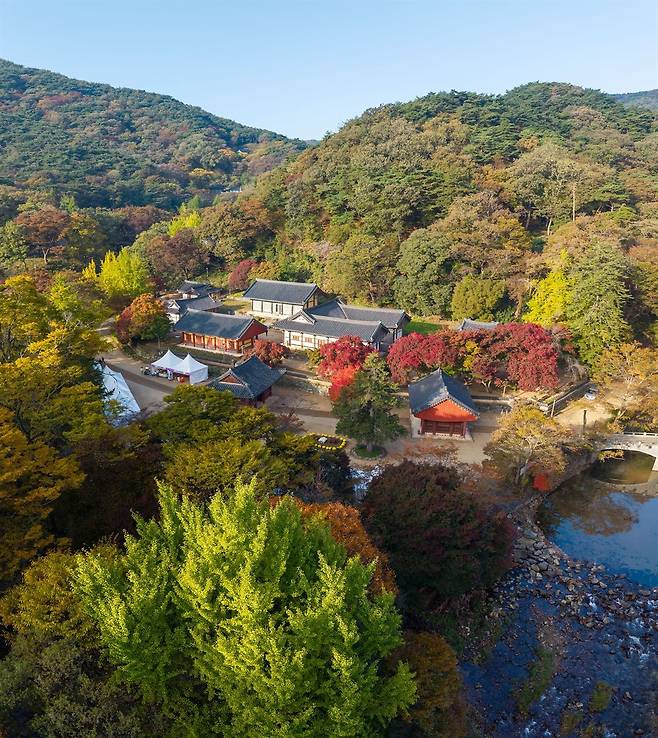 붉고 노랗게 물든 산자락에 들어앉은 공주 마곡사. 절 앞으로 개울이 휘어 돌아 나간다. 사진=한국관광공사(이효직) 제공