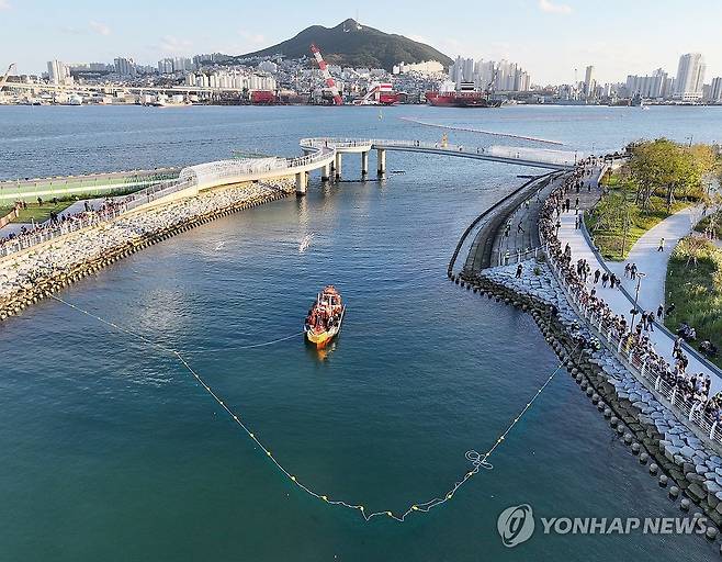 부캉이 구조작전 (부산=연합뉴스) 손형주 기자 = 2일 부산 동구 북항친수공원에서 대형 그물을 활용해 상어(부캉이) 구조작업이 진행되고 있다. 2026.10.2 handbrother@yna.co.kr