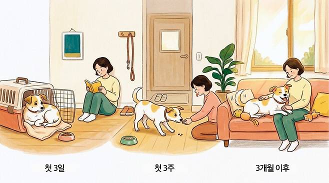 유기동물이 새로운 가정에 적응하려면 충분한 시간이 필요한 만큼 초기의 경계심이나 행동 변화를 문제로 단정하지 않고 기다려주는 것이 중요하다. 제미나이 생성 이미지