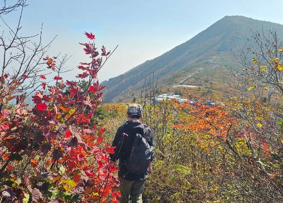 강원 속초시 설악산국립공원 대청∼한계령 일원이 단풍으로 물들고 있다. [사진=연합뉴스]