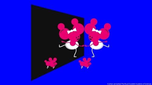 ▲ 거울상 분자 모형도 [노벨위원회 홈페이지=연합뉴스]