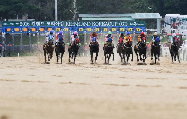지난 8일 과천 한국마사회 본관에서 송미령 농림축산식품부 장관 방문에 맞춰 경마 노동자 비대위가 근조 피켓 시위를 벌였다. 비대위는 19대 노사 요구안에 대한 구속력 있는 서면 확약과 충분한 협의를 촉구하며 이전 의결 강행 시 이사진 책임을 경고했다. 사진=한국마사회