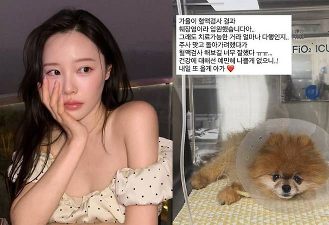 이솔이 소셜미디어