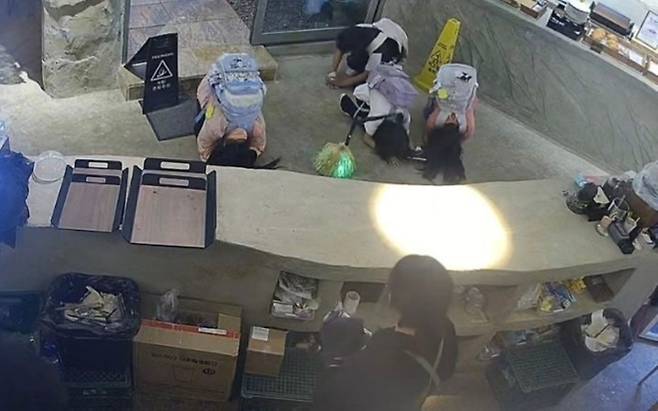 돈이 부족해 빵 구매를 포기한 초등학생들에게 크루아상을 건넨 한 카페의 사연이 알려졌다. 빵을 선물 받은 아이들은 카페 직원들에게 나란히 큰절을 올리며 감사의 마음을 전했다. 스레드(@dal__soup) 캡처