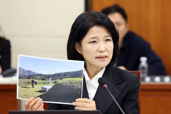 이진숙 국민의힘 의원이 12일 서울 여의도 국회 과학기술정보방송통신위원회에서 열린 방송미디어통신위원회 등에 대한 국정감사에서 의사진행 발언을 하고 있다. 뉴스1