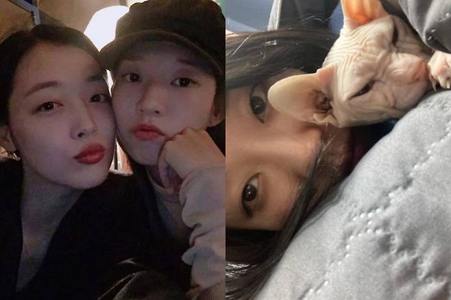 배우 김선아가 고(故) 설리의 7주기를 맞아 고인을 향한 변함없는 그리움을 전했다. 고(故) 설리와 김선아. /사진=김선아 인스타그램 캡처