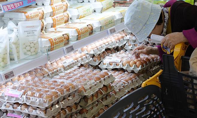 7000원대까지 치솟은 계란값 15일 서울 시내 한 대형마트에서 계란이 진열돼 있다. 계란 산지·도매가격이 이달 들어 6% 넘게 하락했지만 소비자가격은 30개 한 판 기준 7045원으로 오르며 7000원대까지 치솟았다. 겨울철을 앞두고 고병원성 조류인플루엔자(AI) 확산 여부가 향후 계란값의 변수가 될 것으로 예상된다. 뉴시스