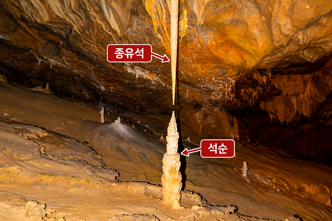 천장에서 아래로 자라는 종유석과 동굴 천장에서 떨어진 물방울 속 탄산칼슘이 굳어 바닥에 층층이 쌓여서 생긴 석순. 게티이미지뱅크