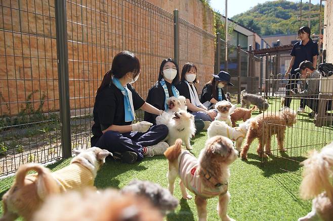 반려마루 여주‘를 찾은 의료봉사단이 야외 운동장에서 보호견들과 시간을 보내고 있다. 사진제공=넬동물의료센터