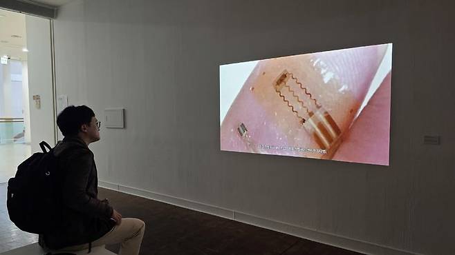 [사진=박현주 미술전문기자] 서울시립미술관 린허쉬만 전시 마지막 방 전시 전경.  2026.10.202. hyun@newsis.com *재판매 및 DB 금지