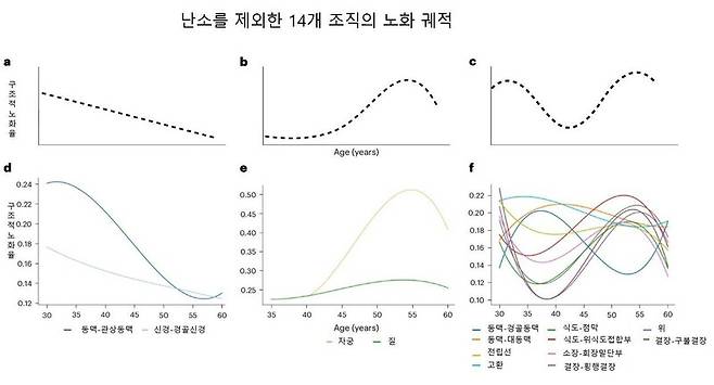 인체 장기 조직의 노화 과정은 크게 세가지 유형으로 나뉜다. 네이처 에이징