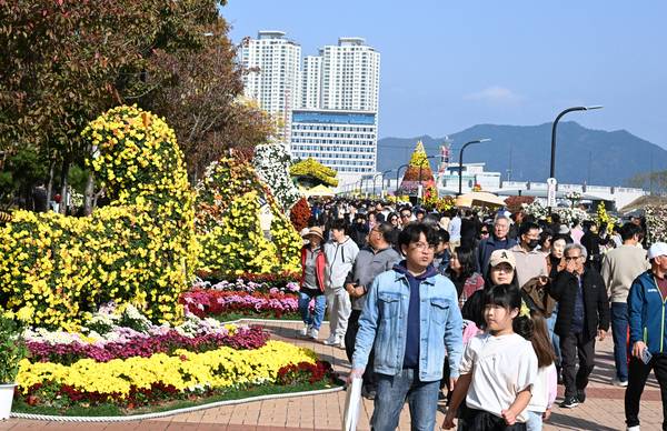 2025년에 열린 마산가고파국화축제에서 관광객들이 마산3.15해양누리공원 바닷가 전시장에 활짝 피어있는 국화를 구경하고 있다. /김구연 기자