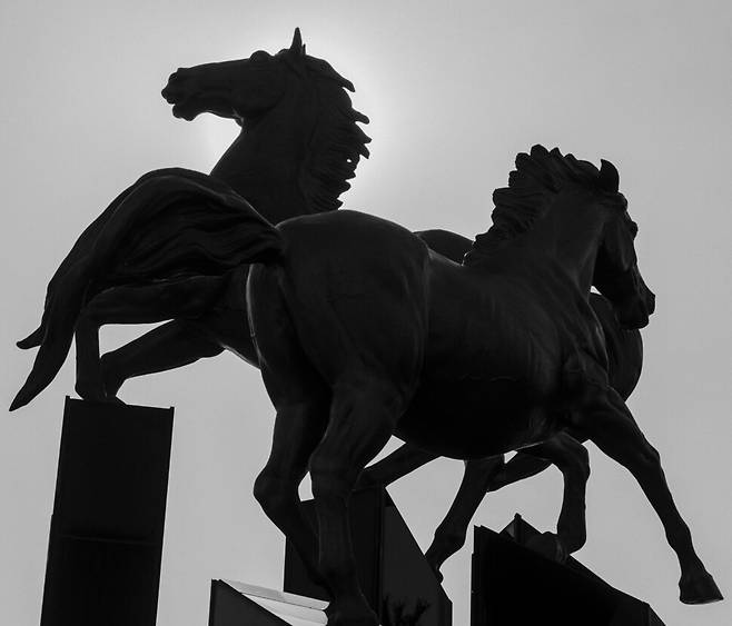 한겨울 얼어붙은 아스팔트 위에서 흰옷이 더러워지는 것도 모르고 기어가던 사람들을 보았니. 그들 가운데 울어서 눈이 빨갛게 부어오른 사람도 보았어? 사람들이 그런 모습으로 네 앞을 기어갈 때 너는 무슨 생각을 했을까. 너의 빠름과 느림에 따라 사람들은 울고 웃는다지. 일확천금을 벌거나 가산을 탕진한다지. 때로는 사람이 죽고. 말을 잃고. 2020년 1월의 경기도 과천경마장.