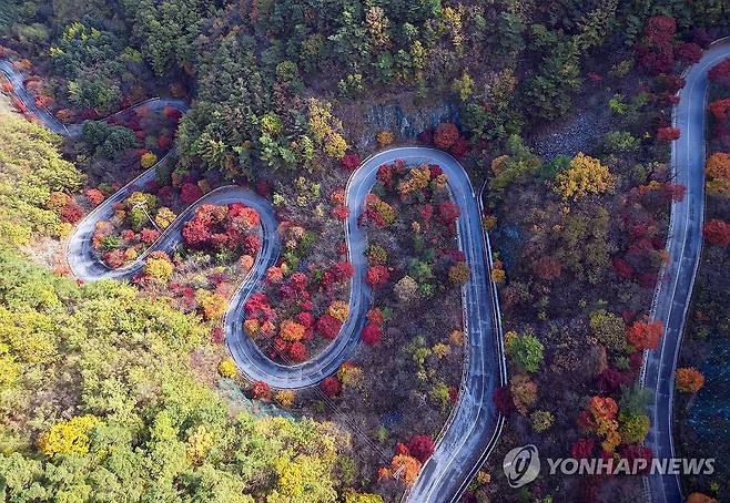 만산홍엽 단양 보발재 (단양=연합뉴스) 천경환 기자 = 완연한 가을 날씨를 보인 27일 충북 단양군 가곡면 보발재 주변이 단풍으로 물들어 있다. 2026.10.27 kw@yna.co.kr