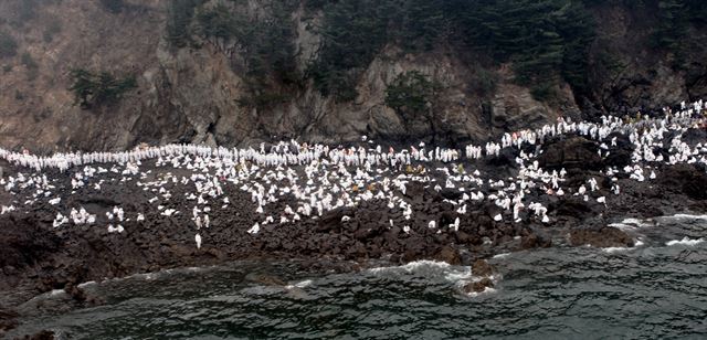 2007년 12월 7일 충남 태안 앞바다에서 발생한 허베이 스피리트호 기름유출 사고로 새카만 기름이 덮친 해안에서 하얀 위생복을 입은 수많은 자원봉사자들이 기름 제거를 하고 있는 모습. 충남도 제공