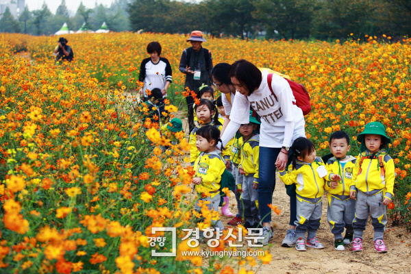 수도권매립지 꽃밭에서 유치원들이 꽃을 보고 있다|수도권매립지관리공사