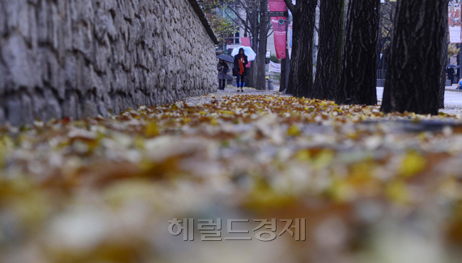 서울 자치구가 ‘애물단지’ 낙엽을 각자 방식으로 재활용하고 있다. 사진은 가을철 길 위 낙엽이 쌓여있는 모습. [사진=헤럴드DB]