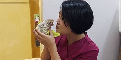 김미혜 수의사(송파에코동물병원장)