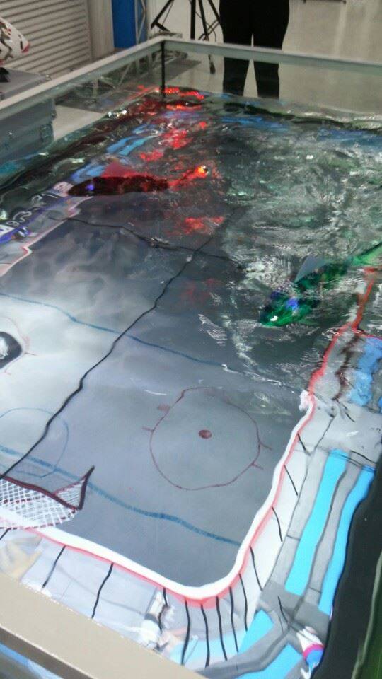 배터리로 가동하는 관상어 로봇 두 마리가 낮은 수조 속에서 헤엄치고 있다.