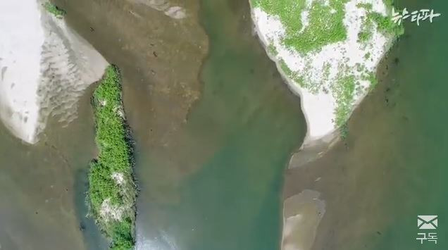 4대강으로 인해 녹조현상이 일어난 강 [사진=‘뉴스타파’ 유튜브 영상 캡처]