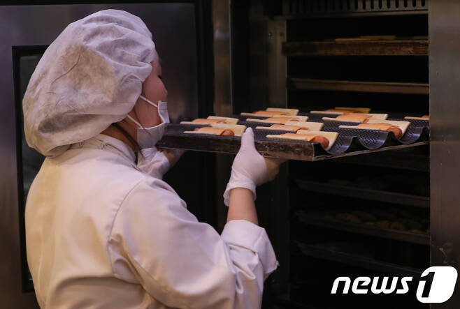 서울 시내의 한 파리바게뜨 지점에서 제빵사가 빵을 만들고 있다. /뉴스1 © News1 허경 기자