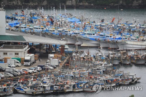 대피한 어선들 [연합뉴스 자료사진]