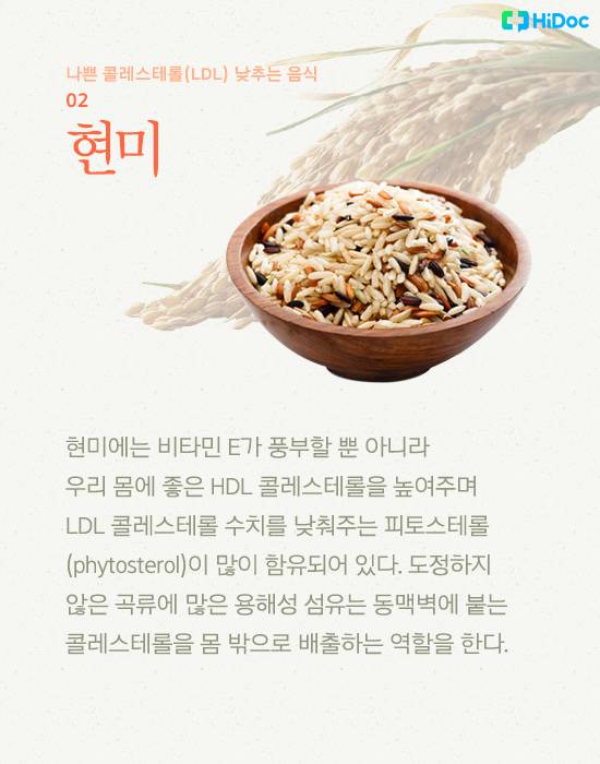 콜레스테롤 낮추는 음식
