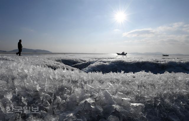 전국에 한파가 몰아친 11일 강화군 분오리 주변 바닷가가 꽁꽁 얼어 얼음꽃을 만들고 있다. 서재훈기자
