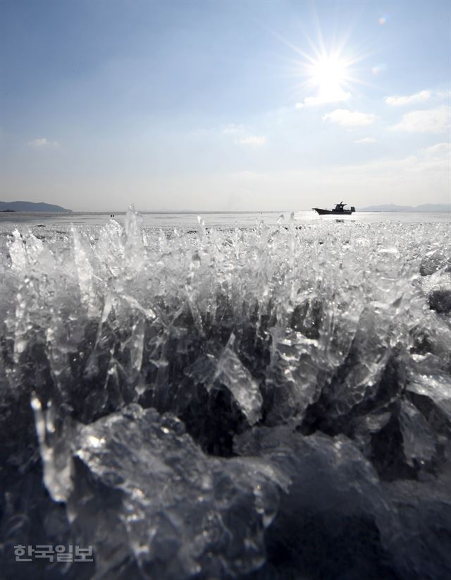 전국에 한파가 몰아친 11일 강화군 분오리 주변 바닷가가 꽁꽁 얼어 얼음꽃을 만들고 있다. 서재훈기자 spring@hankookilbo.com