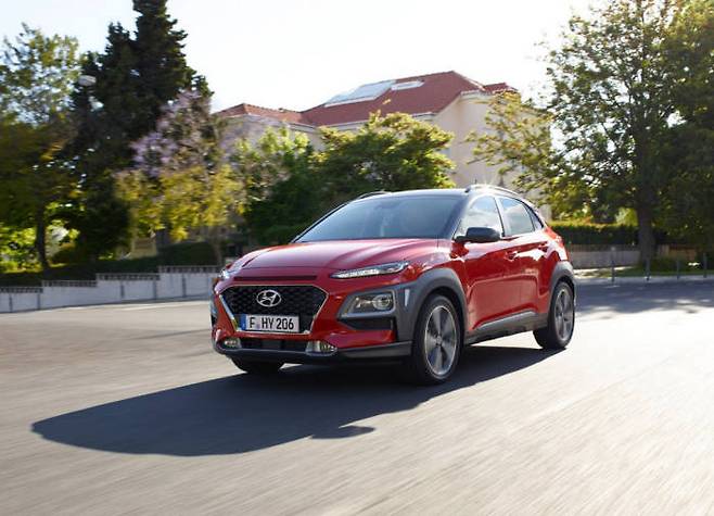 코나가 도로를 달리고 있다.