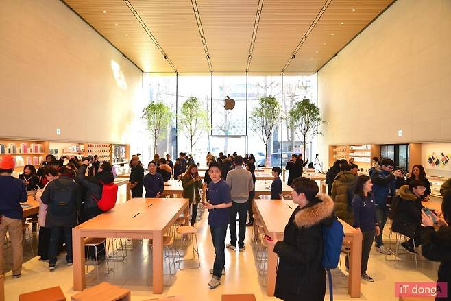 애플 가로수길이 첫 손님을 맞이했다