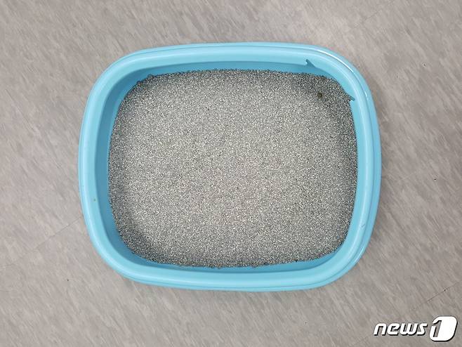사진 모래가 깔려있는 고양이 화장실. © News1