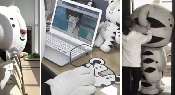 (왼쪽부터) 혼밥하는 수호랑, 자기애가 남다른 수호랑, 머리가 커서 문에 낀 수호랑.