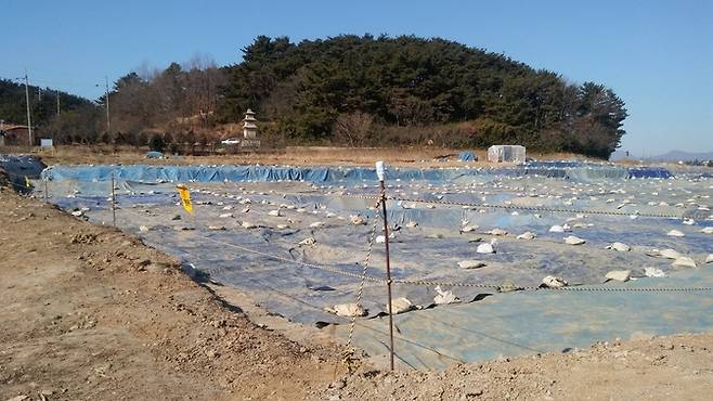 낭산 기슭의 전 황복사터 삼층석탑 앞에 펼쳐진 발굴 현장. 푸른 포대로 덮인 부분이 대형 기단 건물터와 회랑터다.