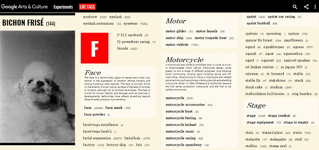 라이프 태그에 들어가면 A부터 Z까지 알파벳 순으로 수천 개의 태그가 나타납니다. - 화면 캡처