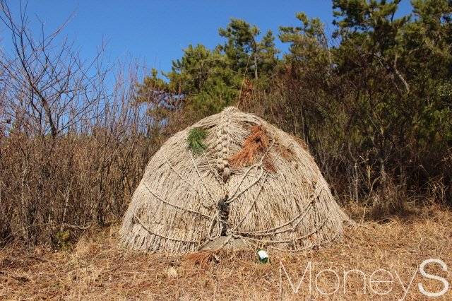 청산도 초분. 오른쪽 솔가지는 지난해 것인 듯 색이 바랬고 왼쪽 것은 올해 것인지 푸르다. 솔가지는 냄새를 없애면서 벌레가 꼬이지 않게 하는 역할을 한다. /사진=박정웅 기자