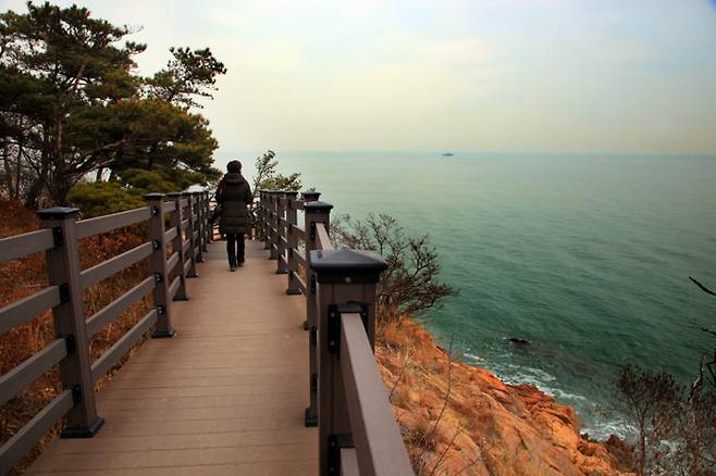 푸른 바다를 벗 삼아 걷는 무의바다누리길