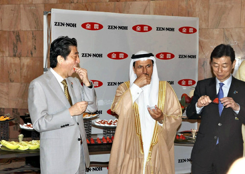 일본 도치기현산 딸기를 시식하는 아베 신조 일본 총리와 UAE 장관.