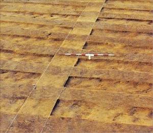 미사리 유적의 백제시대 밭.