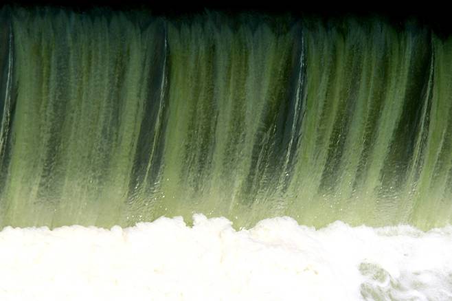 6월 24일 낙동강 창녕함안보에 녹색을 띤 물이 흘러 넘치고 있다.  ⓒ윤성효
